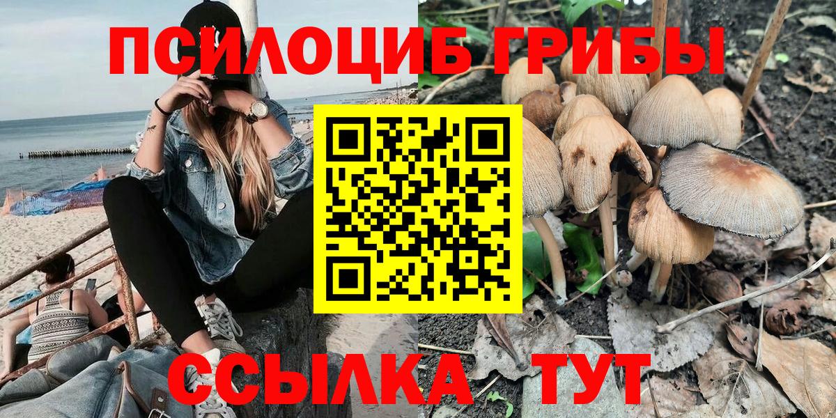 магазин  наркотиков  Вход с VPN  Магнитогорск  Псилоцибиновые грибы мицелий 