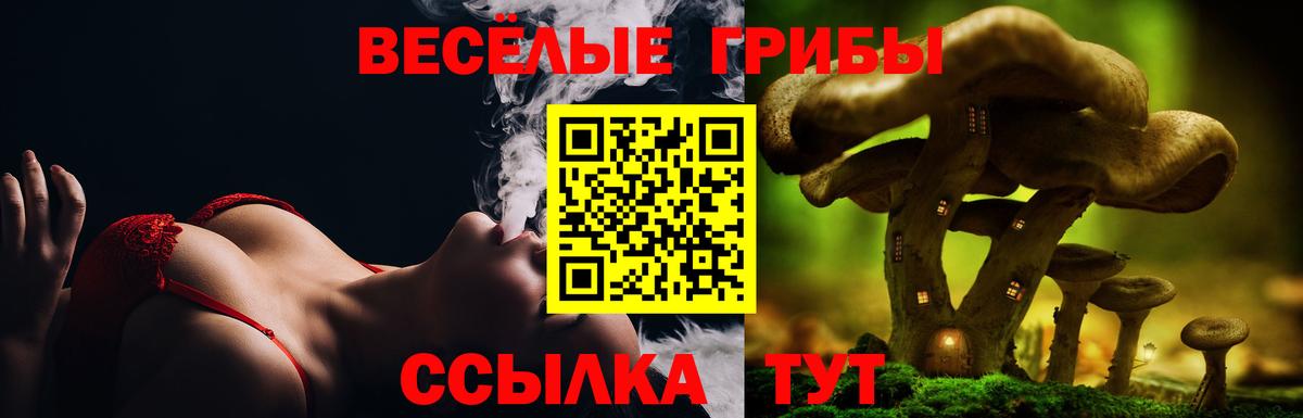 Псилоцибиновые грибы GOLDEN TEACHER Магнитогорск
